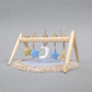 Baby Play Gym with Blanket